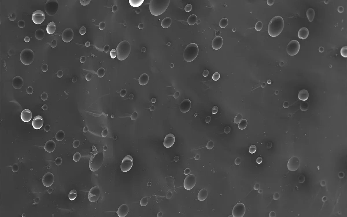 Scanning electron microscope image of Highly Educated opaque quartz at 40x, showing round semi-sphere pits across the surface